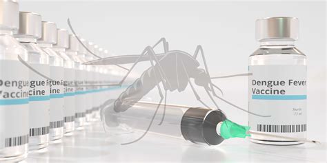 dengue fever outbreak vaccine